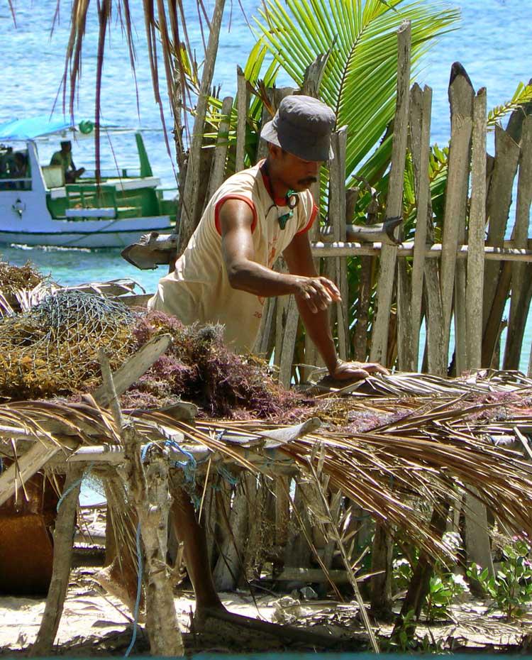 Rote Island Indonesia